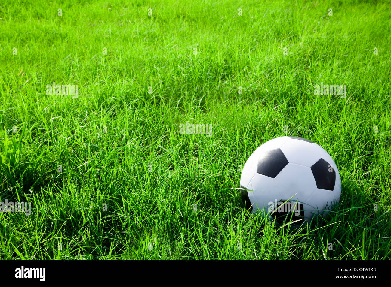 Ballon de soccer ou de football sur le terrain d'herbe verte Banque D'Images