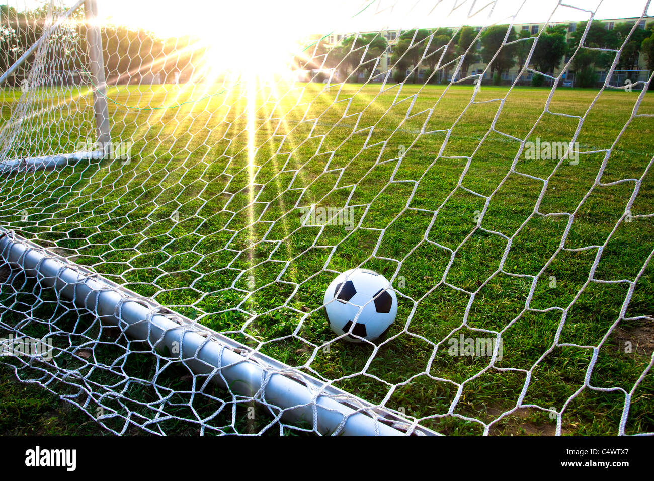 Un ballon de soccer dans un champ d'herbe et l'objectif Banque D'Images