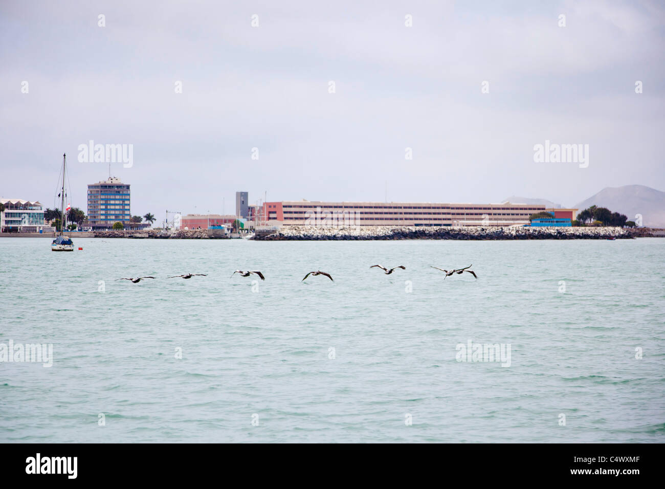 Le Pélican brun d'Amérique du Sud en vol au dessus du port de Callao, Lima, Pérou Banque D'Images