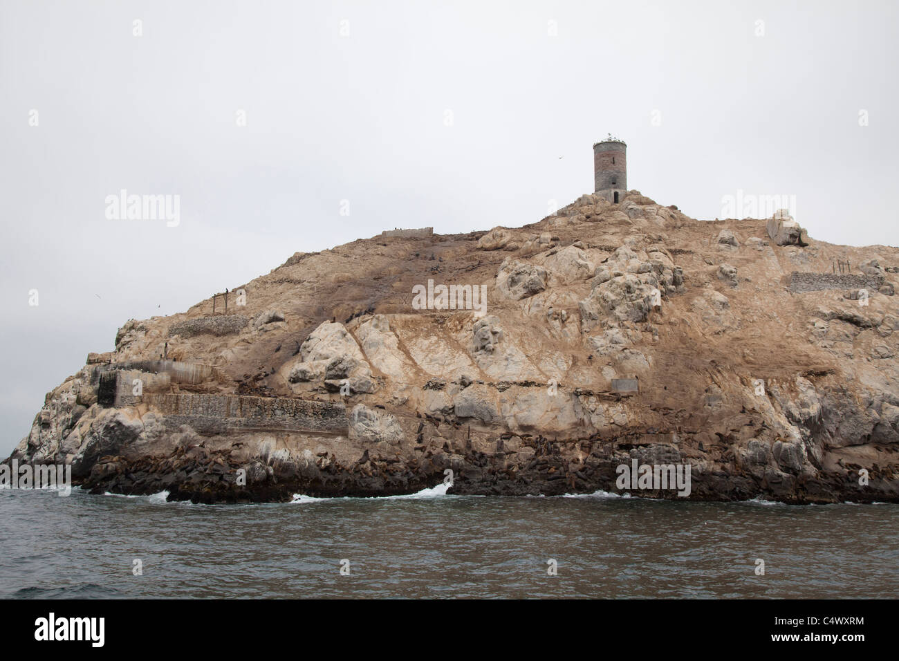 Les îles Palomino, au large de la côte de Lima, Pérou Banque D'Images