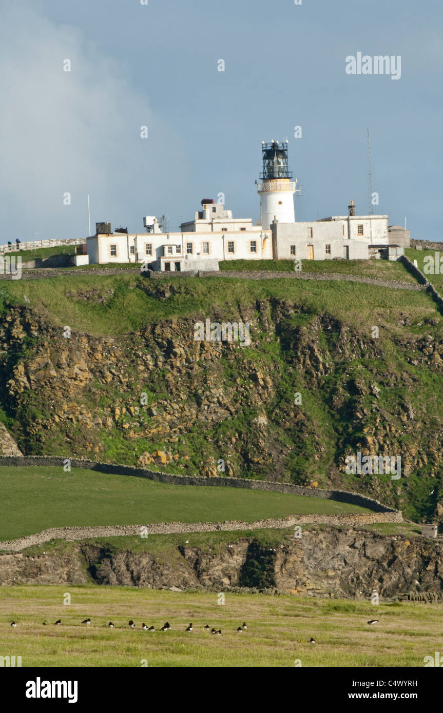 Tête d' établissement"Sumburgh phare, construit en 1821, se dresse au-dessus de la falaise abrupte, à l'extrémité sud de mainland Shetland Banque D'Images
