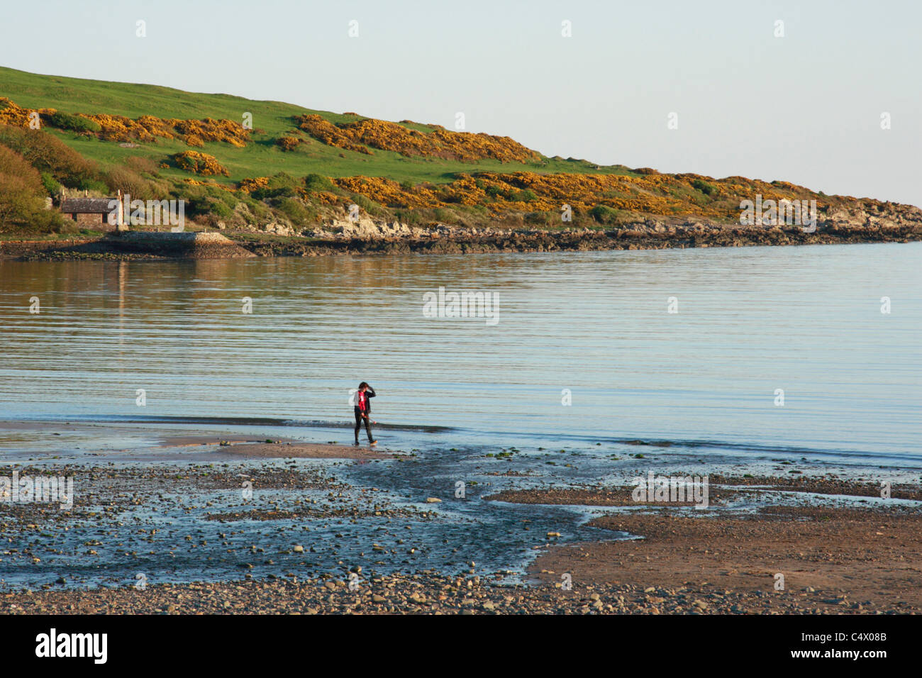 Personne qui marche sur la plage à Brighouse Bay près de Kirkcudbright, Dumfries et Galloway, au sud ouest de l'Écosse, Royaume-Uni Banque D'Images