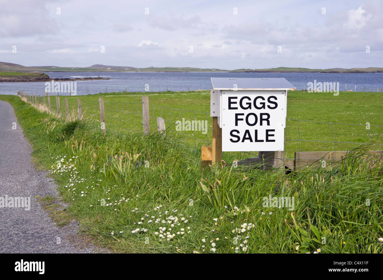 Sandness, Shetland, Scotland, UK, Grande-Bretagne. Des œufs pour la vente d'une honnêteté fort à l'extérieur de la ferme croft. Banque D'Images