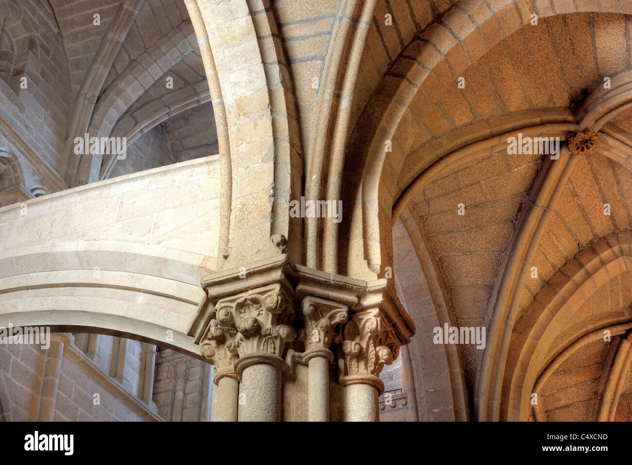 Cathédrale de Santa Maria, Tui, Galice, Espagne Banque D'Images