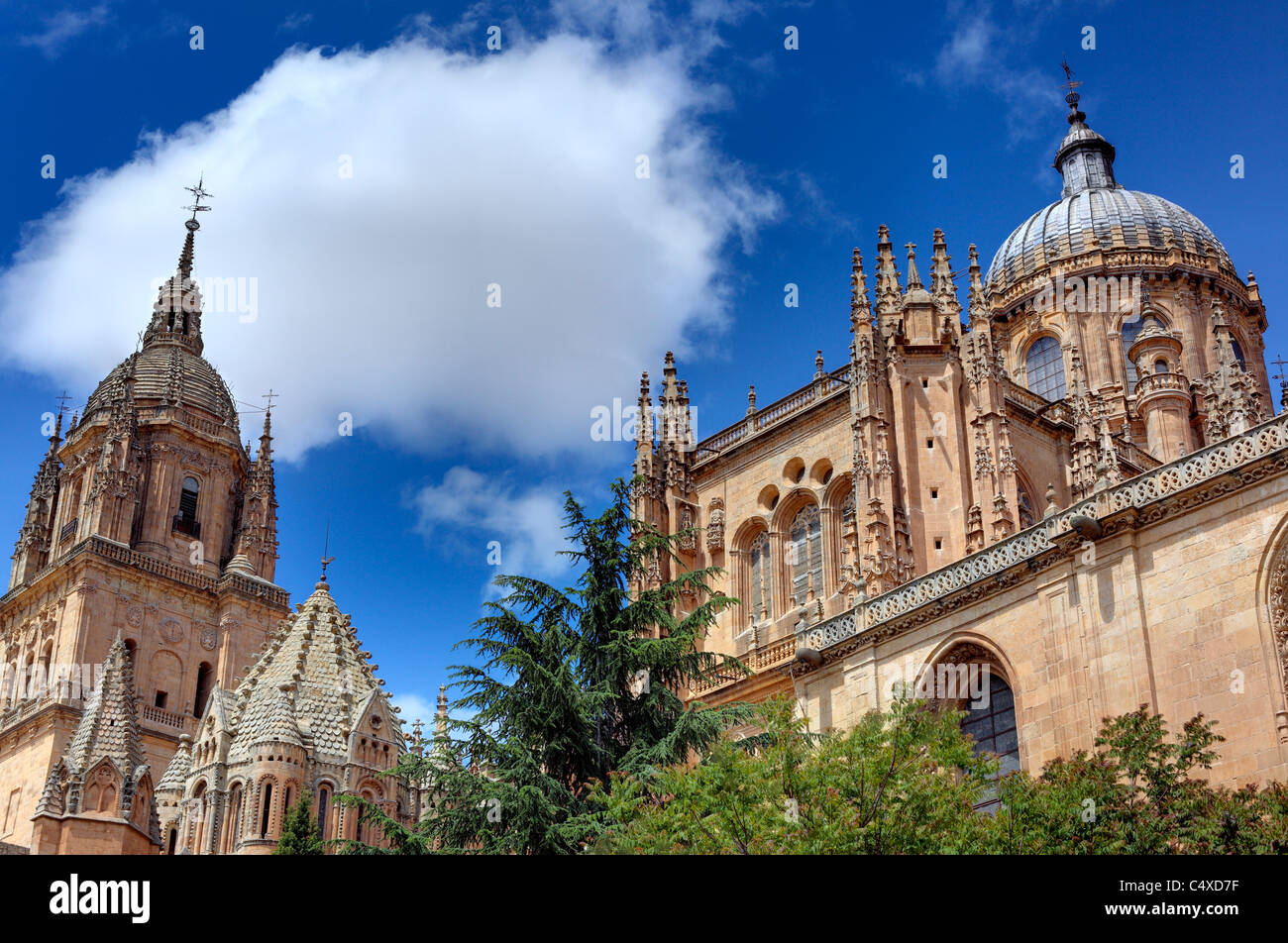 Catedral Nueva (nouvelle cathédrale), Salamanque, Castille et Leon, Espagne Banque D'Images