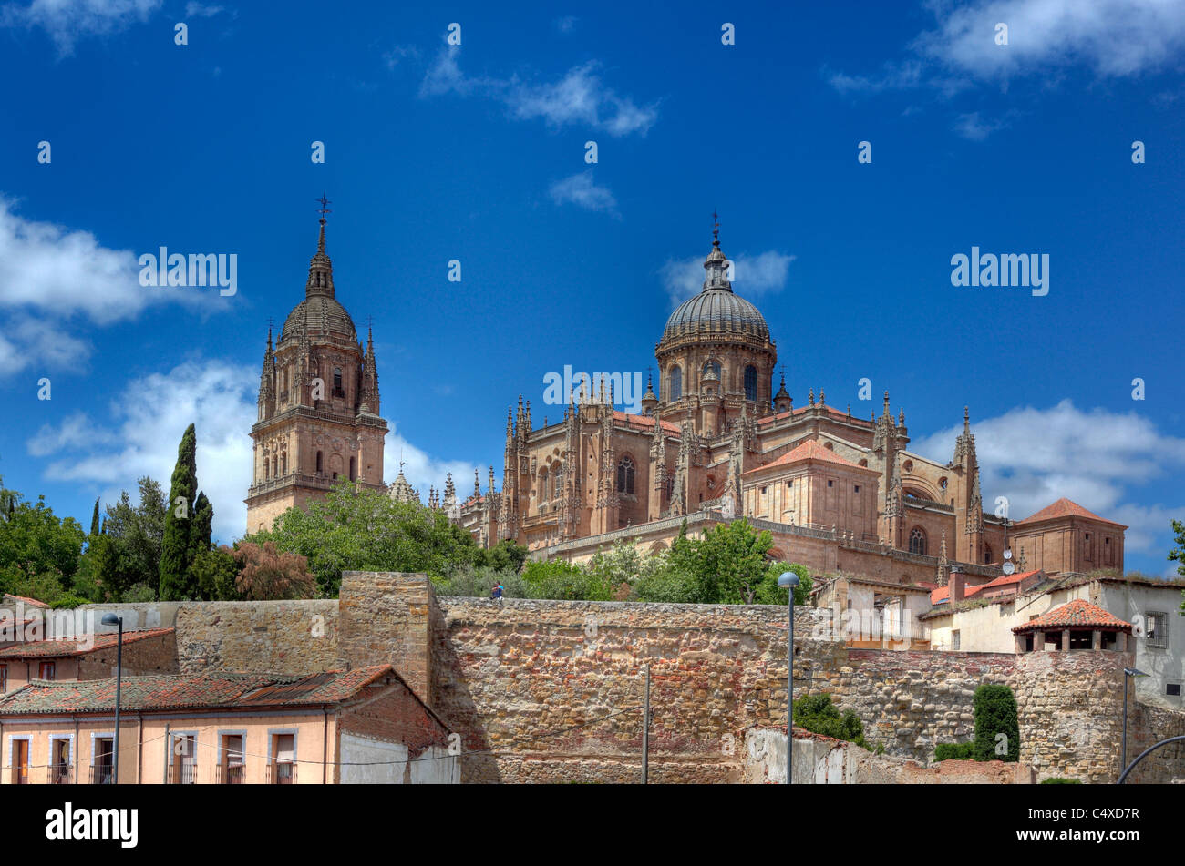 Catedral Nueva (nouvelle cathédrale), Salamanque, Castille et Leon, Espagne Banque D'Images