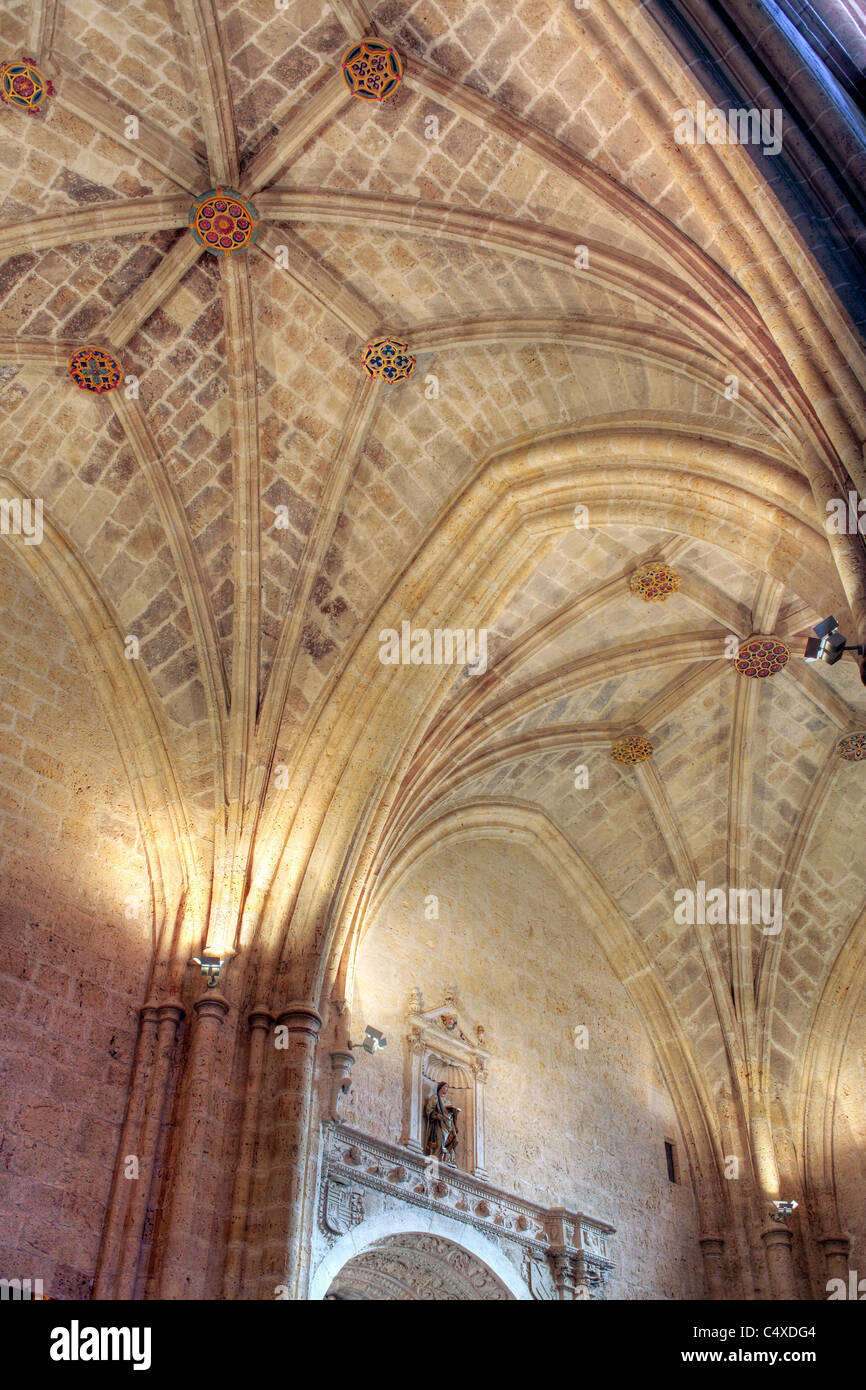 Cathédrale, Palencia, Castille et Leon, Espagne Banque D'Images