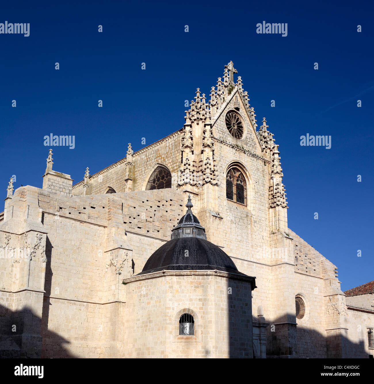 Cathédrale, Palencia, Castille et Leon, Espagne Banque D'Images