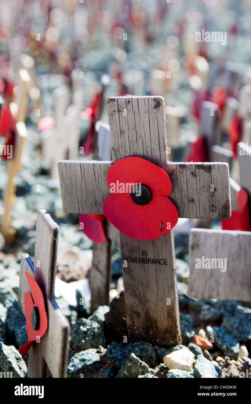 Souvenir coquelicots sur croix de bois Banque D'Images