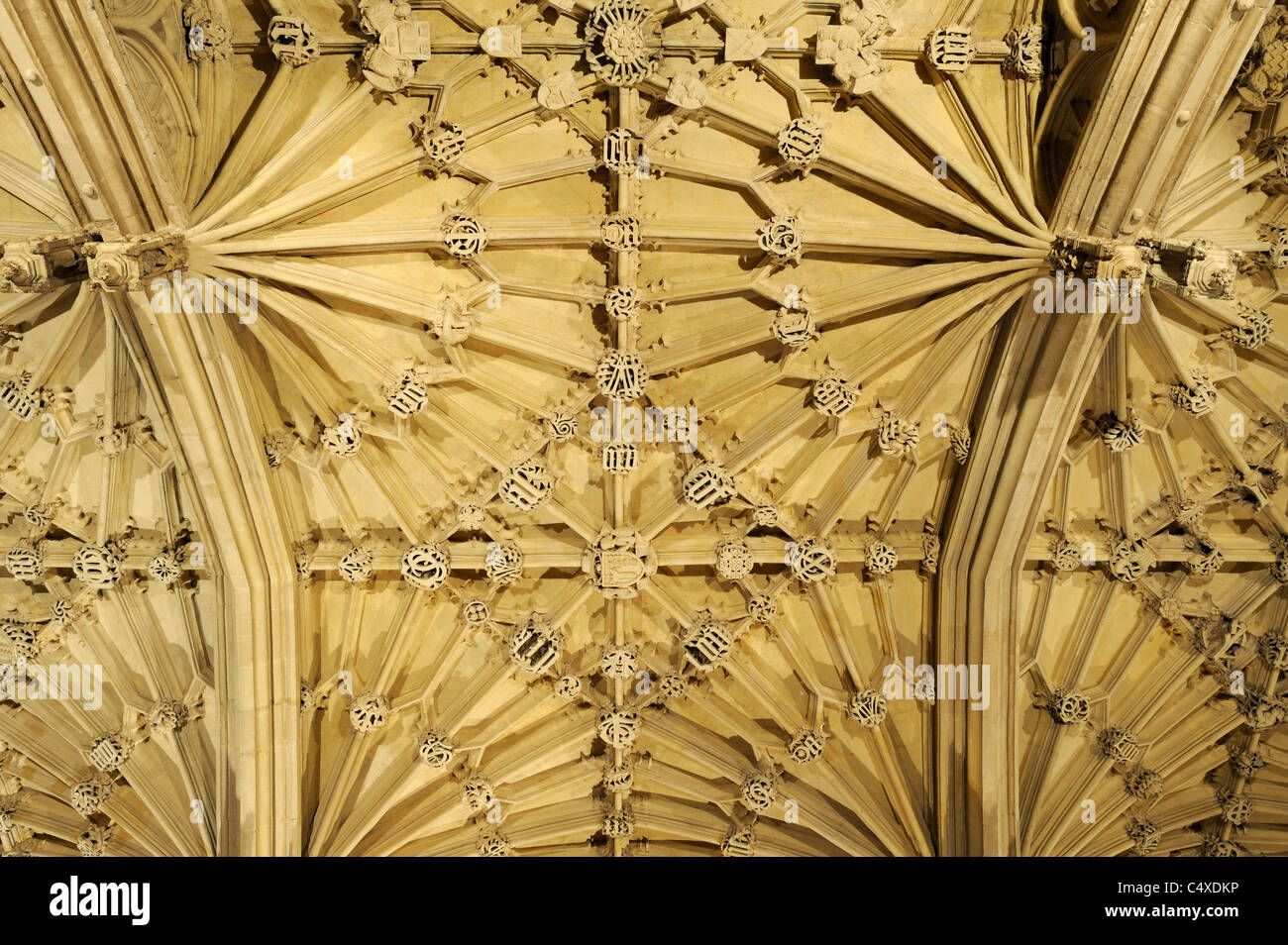 Plafond de la Divinity School, Oxford - Angleterre Banque D'Images