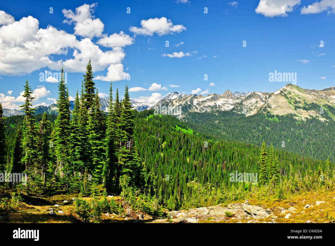 Vue panoramique du Mont Revelstoke des montagnes Rocheuses en Colombie-Britannique, Canada Banque D'Images