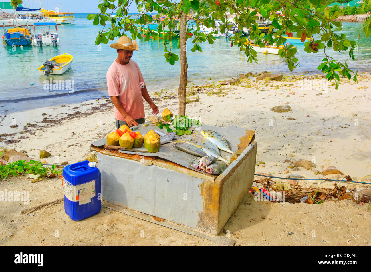 L'opérateur local affiche des marchandises l'île de La Digue Seychelles Banque D'Images