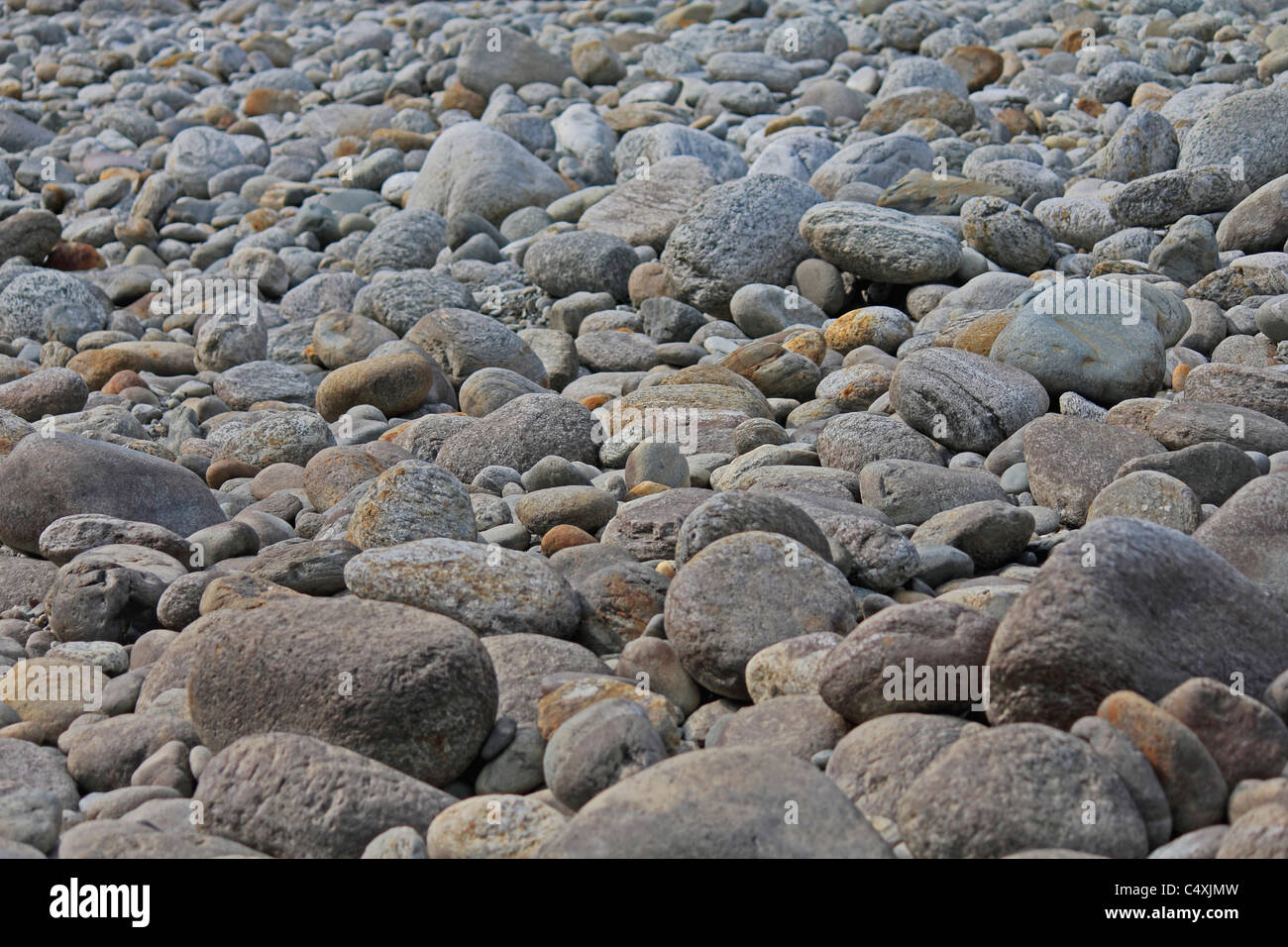 Galets sur le lit du fleuve, rivière, Noa-Dehing Namdapha, de l'Arunachal Pradesh, Inde Banque D'Images Galets sur le lit du fleuve, rivière, Noa-Dehing Namdapha, de l'Arunachal Pradesh, Inde Banque D'Images