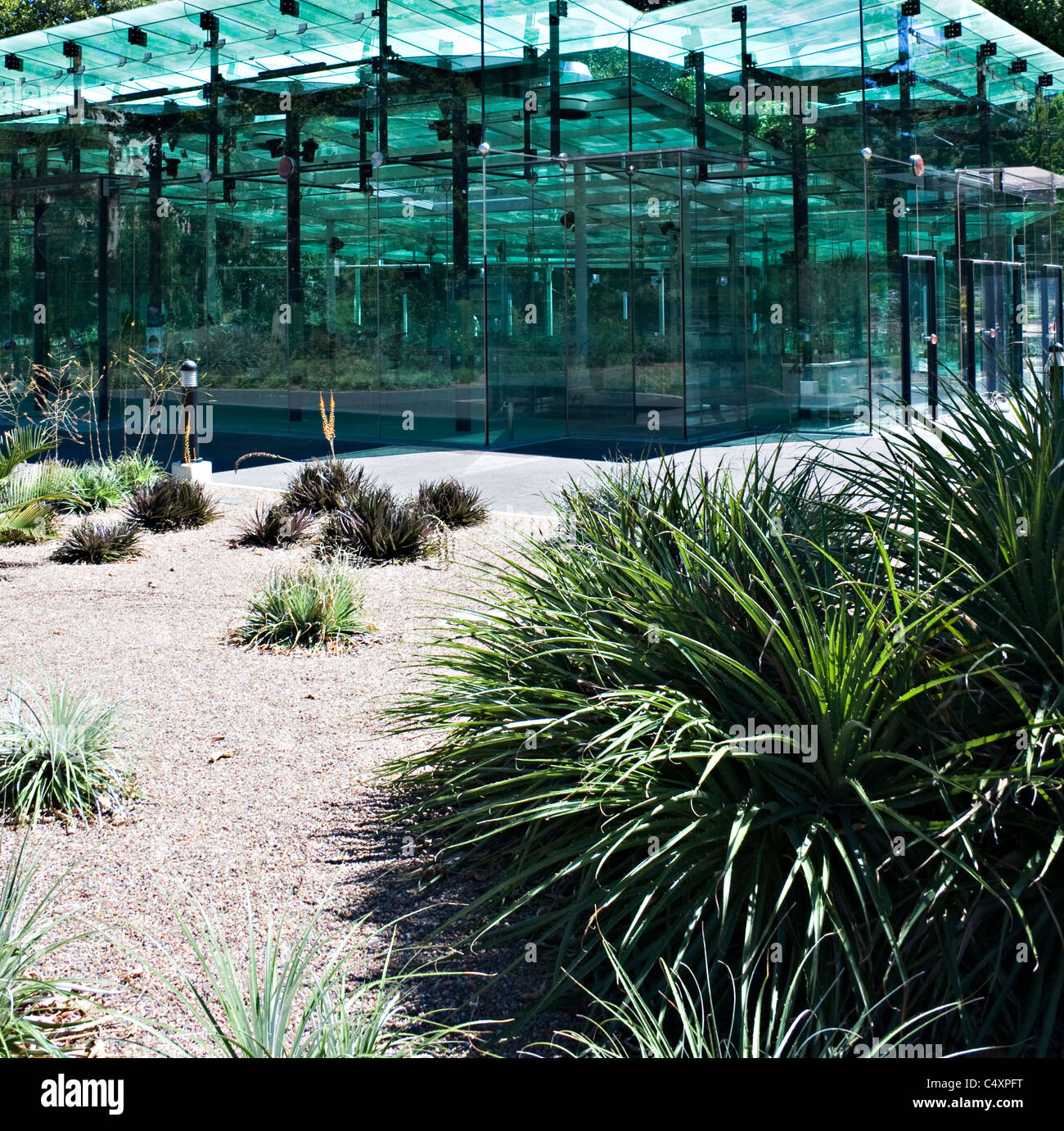 L'étonnante en verre Amazon Water Lily pavillon dans le jardin botanique d'Adélaïde en Australie du Sud Banque D'Images