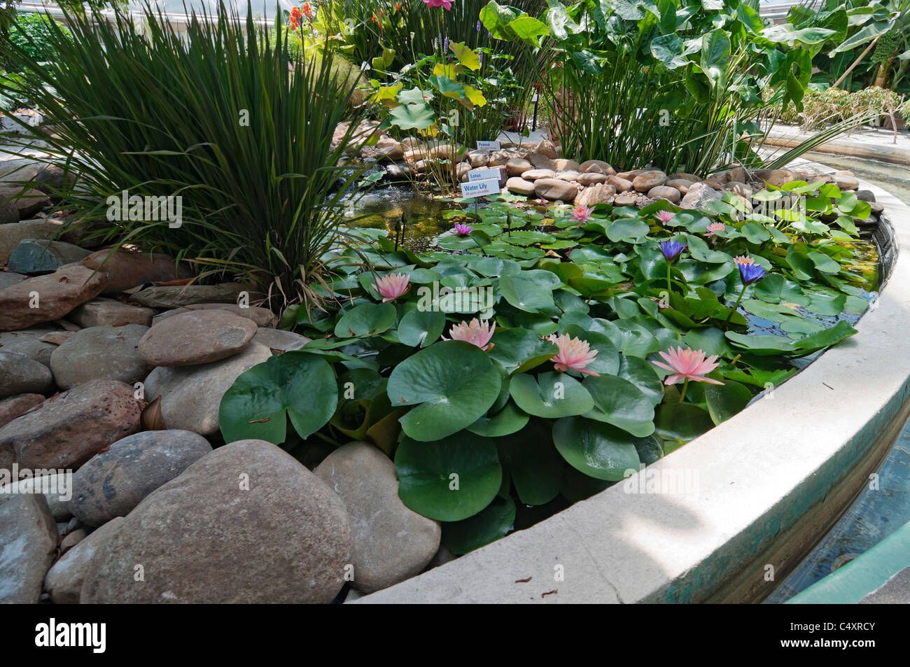 Le parc à thème Epcot Pavillon Terre Walt Disney World Resort Orlando la Floride le derrière La Tour & Graines vivant avec les terres d' Banque D'Images