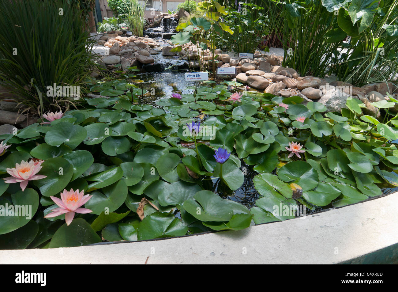 Le parc à thème Epcot Pavillon Terre Walt Disney World Resort Orlando la Floride le derrière La Tour & Graines vivant avec les terres d' Banque D'Images