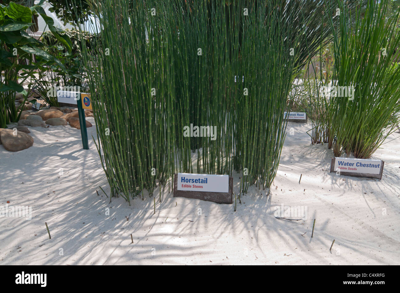 Le parc à thème Epcot Pavillon Terre Walt Disney World Resort Orlando la Floride le derrière La Tour & Graines vivant avec les terres d' Banque D'Images