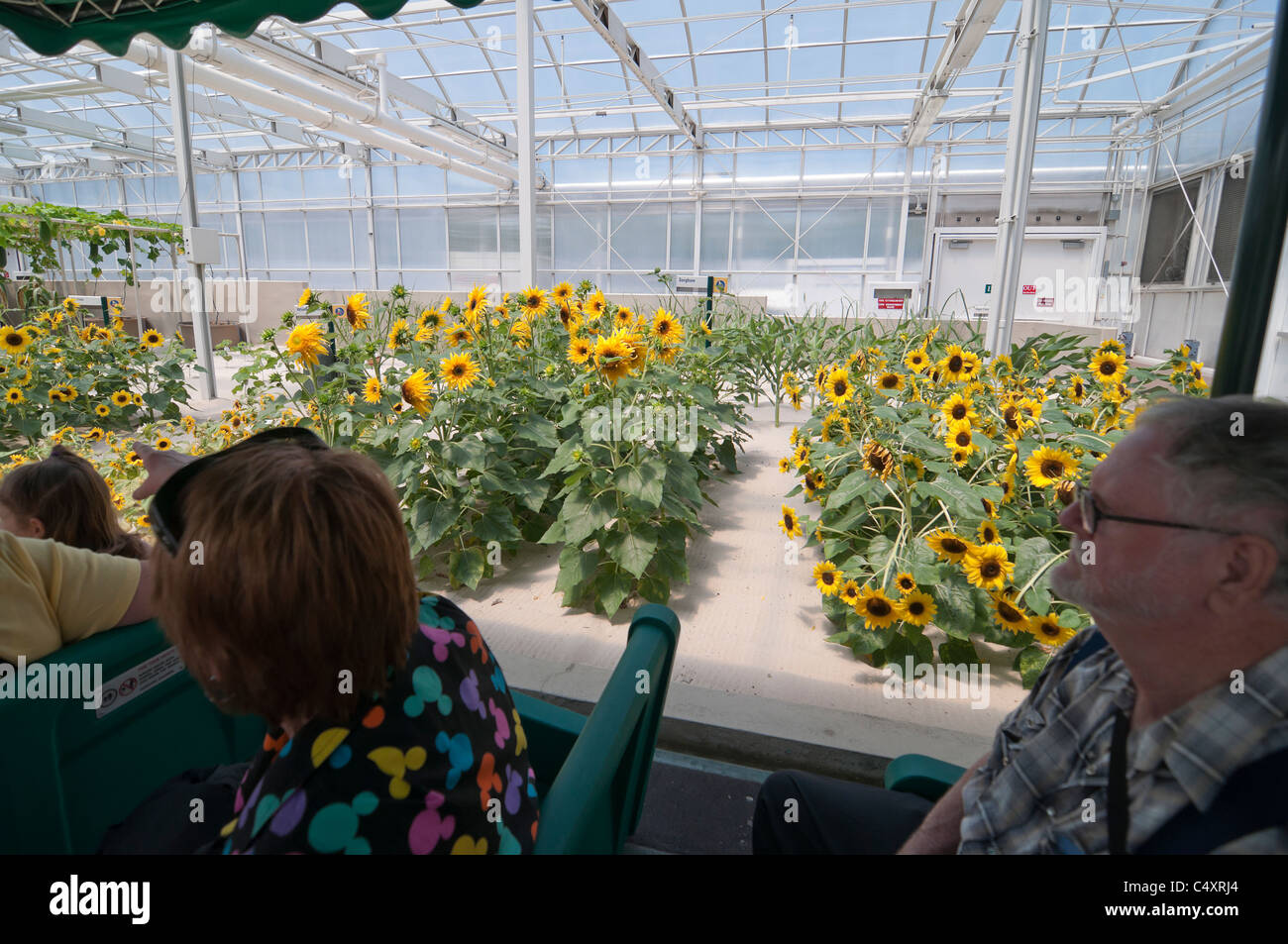 Le parc à thème Epcot Pavillon Terre Walt Disney World Resort Orlando la Floride le derrière La Tour & Graines vivant avec les terres d' Banque D'Images