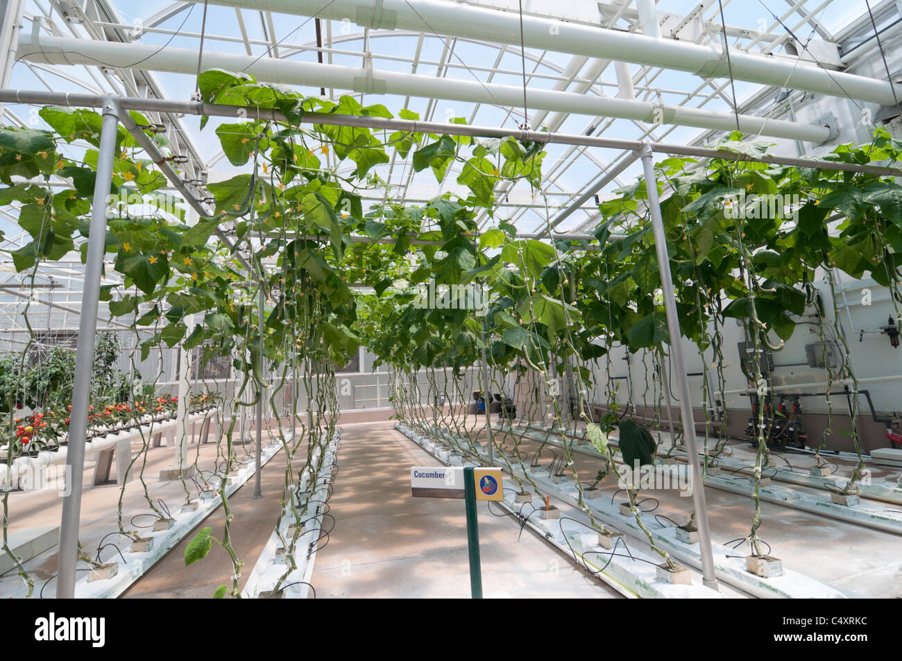 Le parc à thème Epcot Pavillon Terre Walt Disney World Resort Orlando la Floride le derrière La Tour & Graines vivant avec les terres d' Banque D'Images