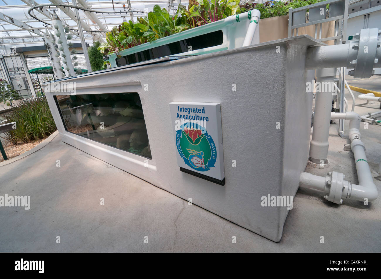 Le parc à thème Epcot Pavillon Terre Walt Disney World Resort Orlando la Floride le derrière La Tour & Graines vivant avec les terres d' Banque D'Images