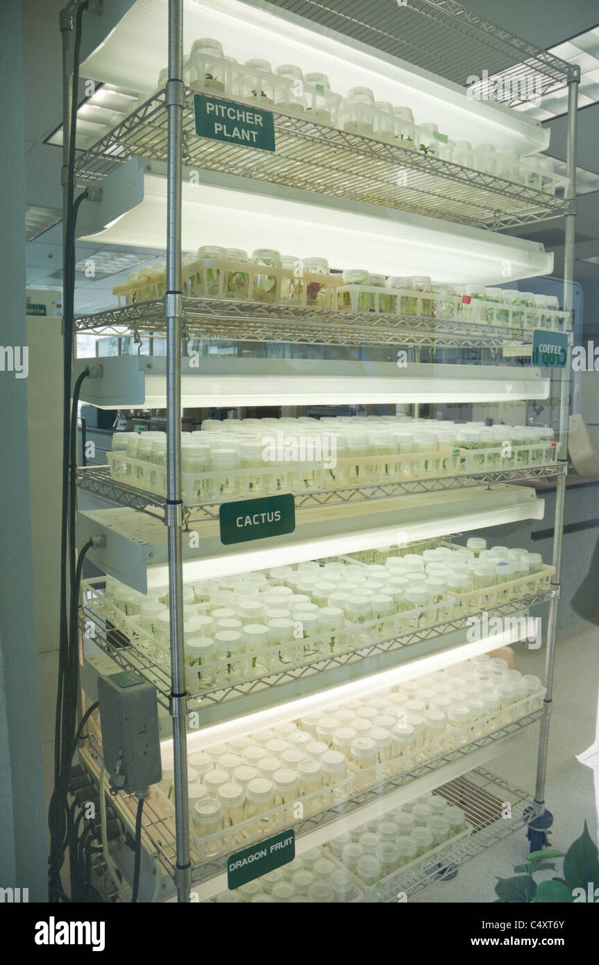 Le parc à thème Epcot Pavillon Terre Walt Disney World Resort Orlando la Floride le derrière La Tour & Graines vivant avec les terres d' Banque D'Images