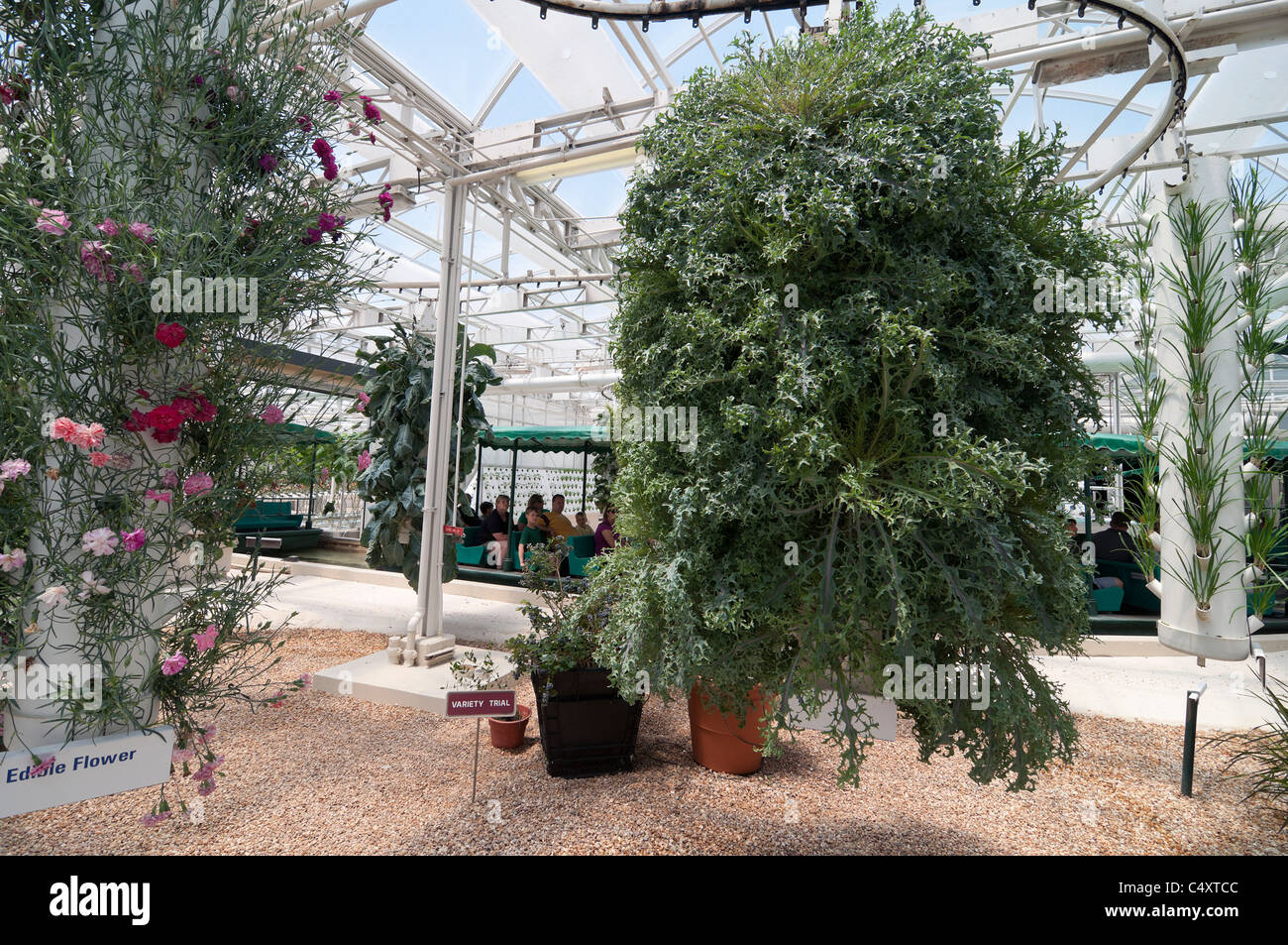 Le parc à thème Epcot Pavillon Terre Walt Disney World Resort Orlando la Floride le derrière La Tour & Graines vivant avec les terres d' Banque D'Images