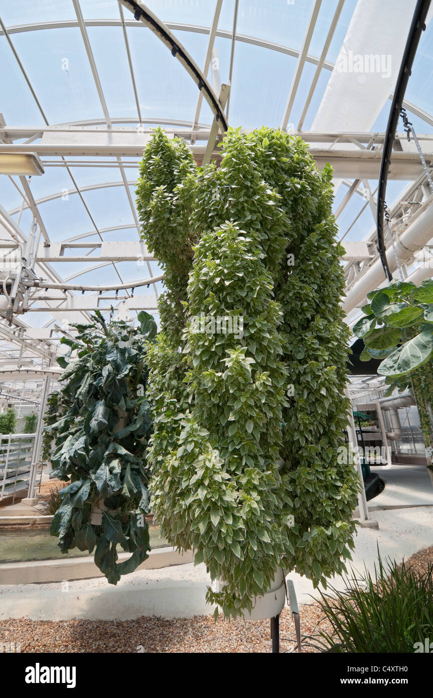 Le parc à thème Epcot Pavillon Terre Walt Disney World Resort Orlando la Floride le derrière La Tour & Graines vivant avec les terres d' Banque D'Images