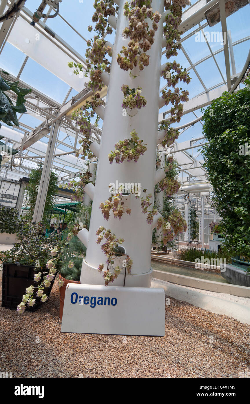 Le parc à thème Epcot Pavillon Terre Walt Disney World Resort Orlando la Floride le derrière La Tour & Graines vivant avec les terres d' Banque D'Images