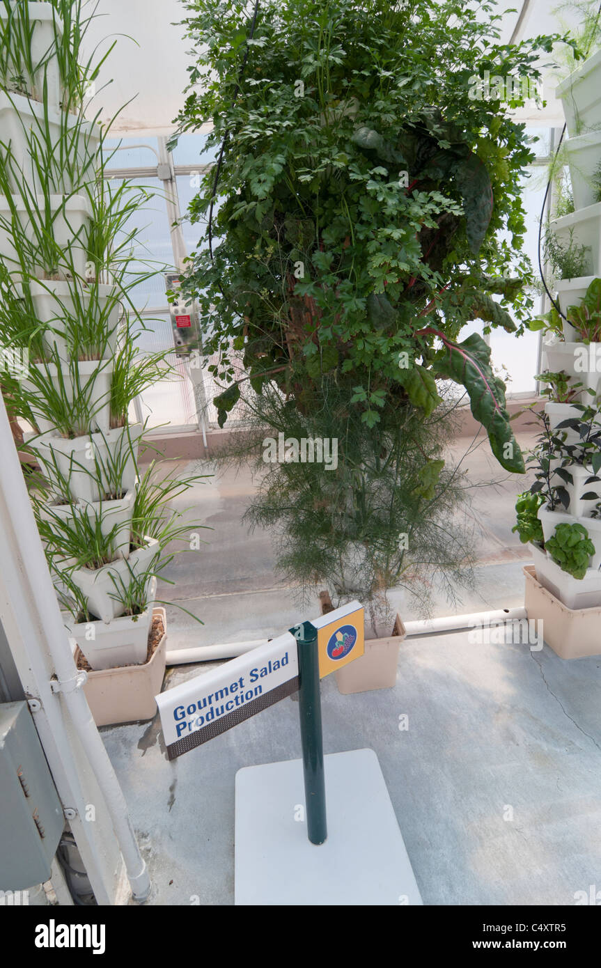 Le parc à thème Epcot Pavillon Terre Walt Disney World Resort Orlando la Floride le derrière La Tour & Graines vivant avec les terres d' Banque D'Images