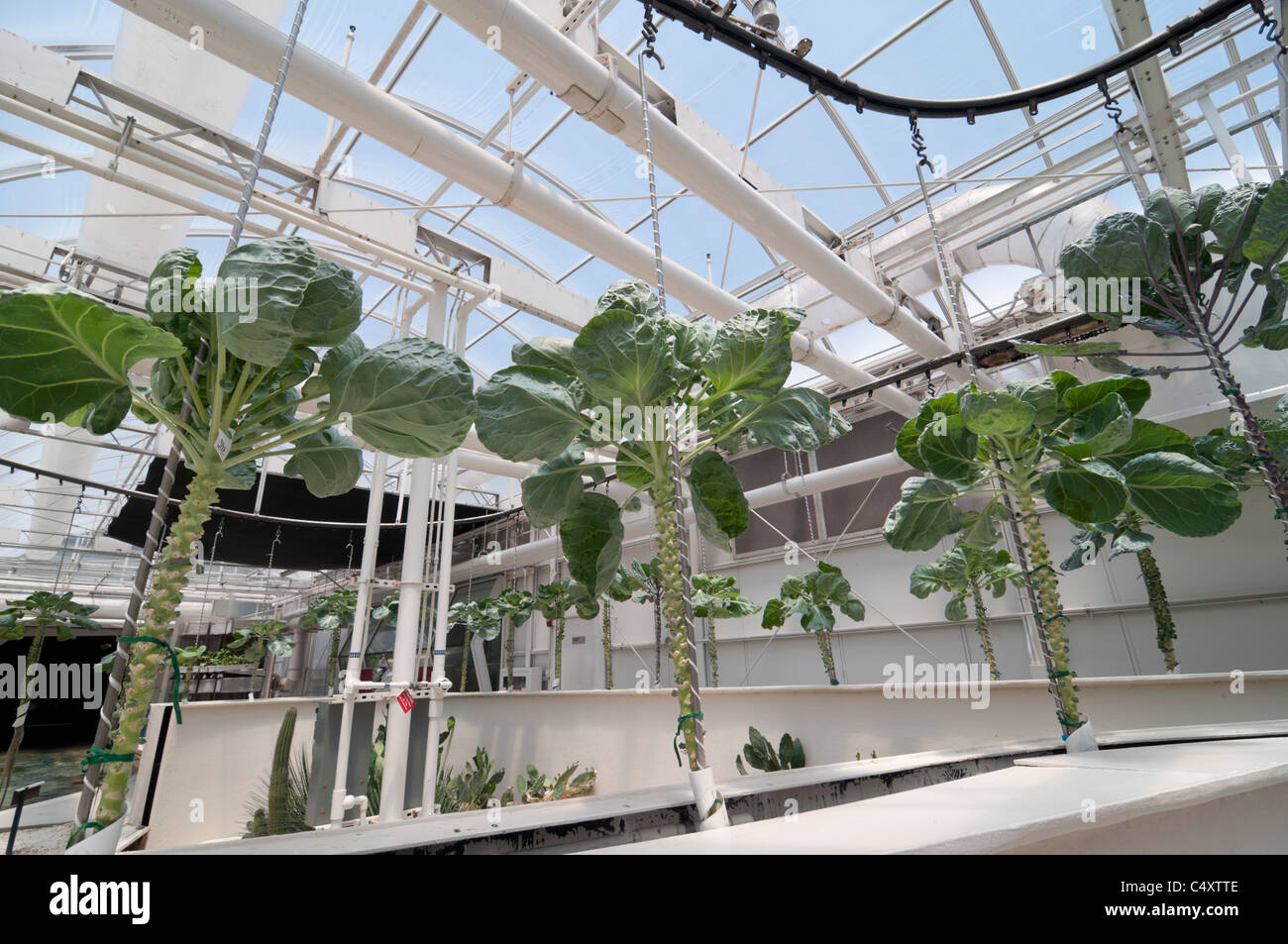 Le parc à thème Epcot Pavillon Terre Walt Disney World Resort Orlando la Floride le derrière La Tour & Graines vivant avec les terres d' Banque D'Images