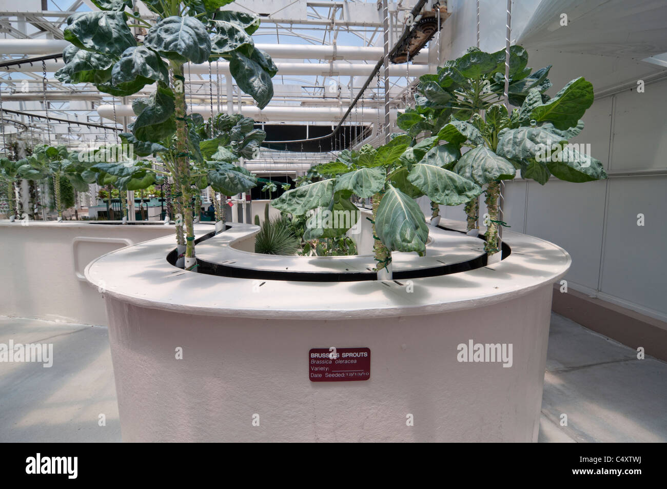 Le parc à thème Epcot Pavillon Terre Walt Disney World Resort Orlando la Floride le derrière La Tour & Graines vivant avec les terres d' Banque D'Images