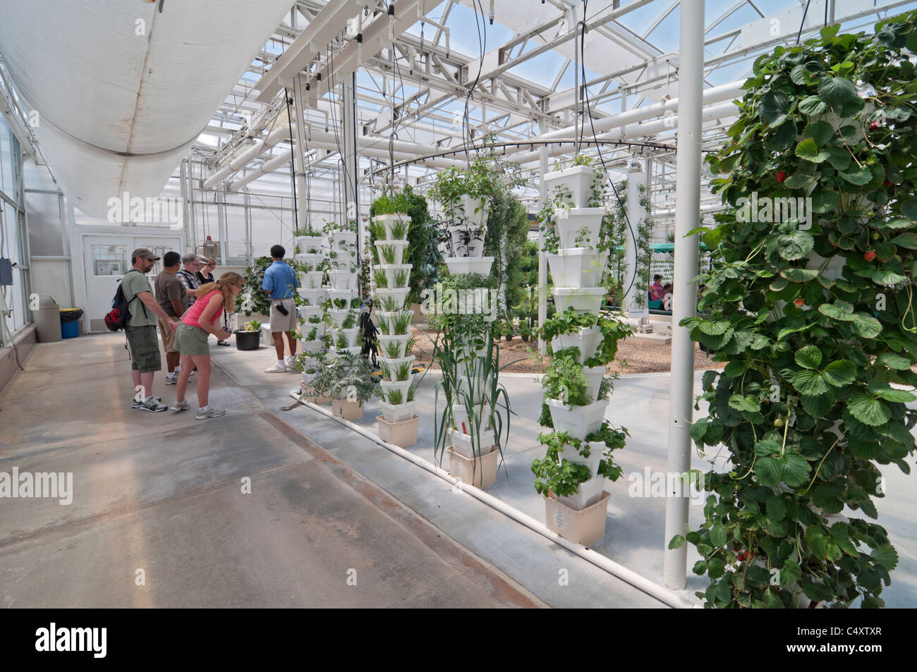 Le parc à thème Epcot Pavillon Terre Walt Disney World Resort Orlando la Floride le derrière La Tour & Graines vivant avec les terres d' Banque D'Images