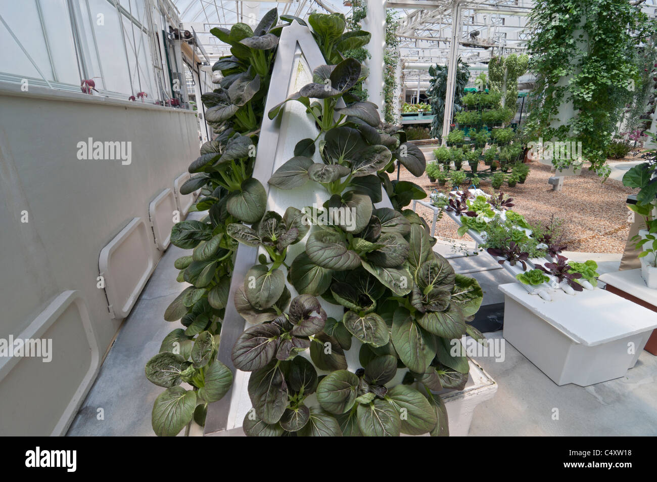 Le parc à thème Epcot Pavillon Terre Walt Disney World Resort Orlando la Floride le derrière La Tour & Graines vivant avec les terres d' Banque D'Images
