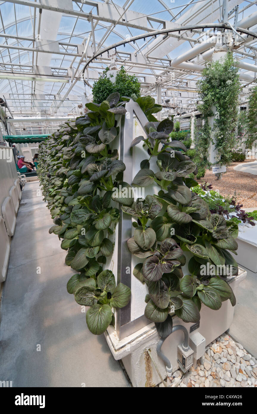 Le parc à thème Epcot Pavillon Terre Walt Disney World Resort Orlando la Floride le derrière La Tour & Graines vivant avec les terres d' Banque D'Images