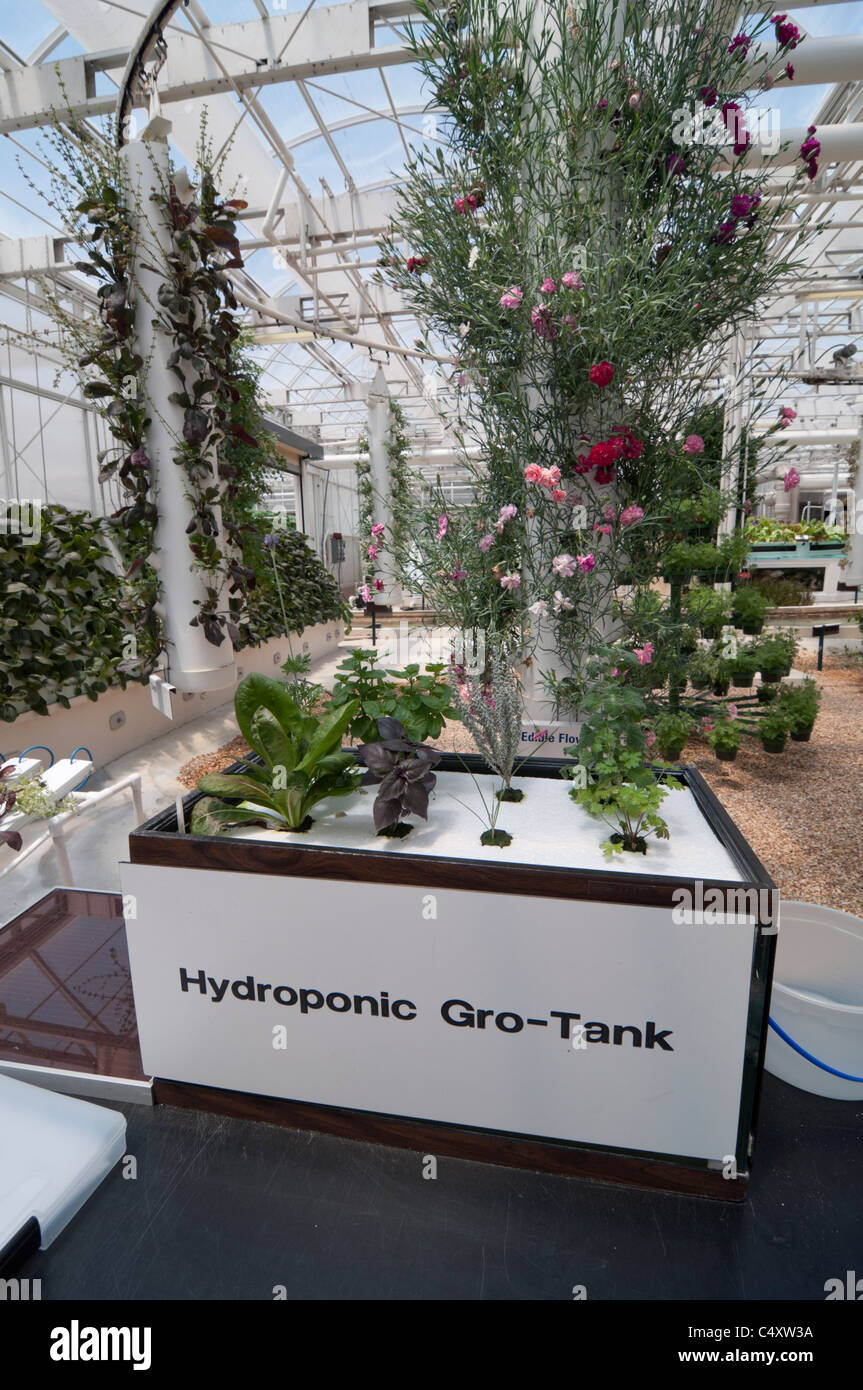 Le parc à thème Epcot Pavillon Terre Walt Disney World Resort Orlando la Floride le derrière La Tour & Graines vivant avec les terres d' Banque D'Images