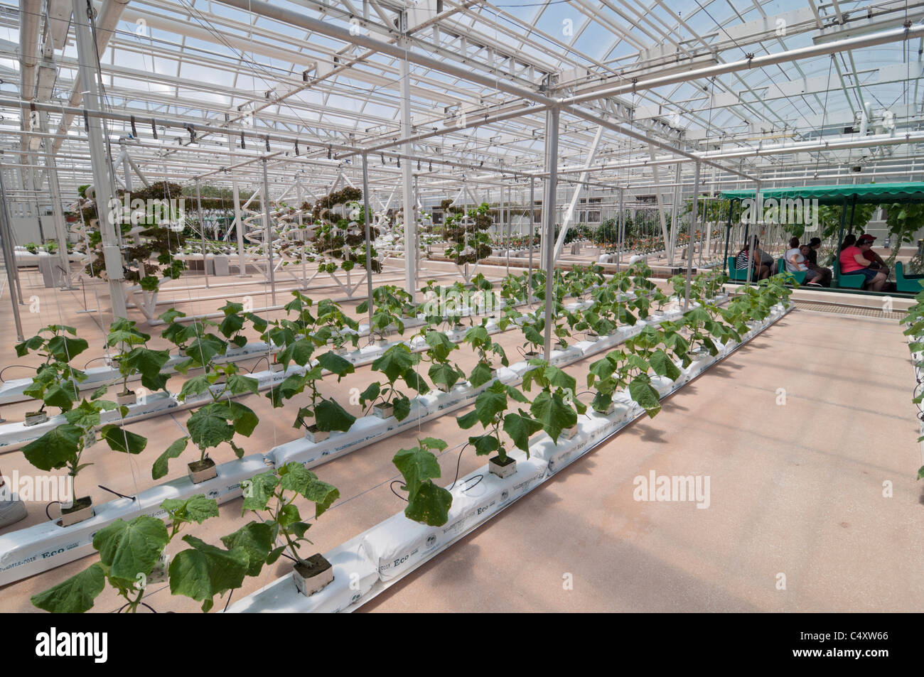 Le parc à thème Epcot Pavillon Terre Walt Disney World Resort Orlando la Floride le derrière La Tour & Graines vivant avec les terres d' Banque D'Images