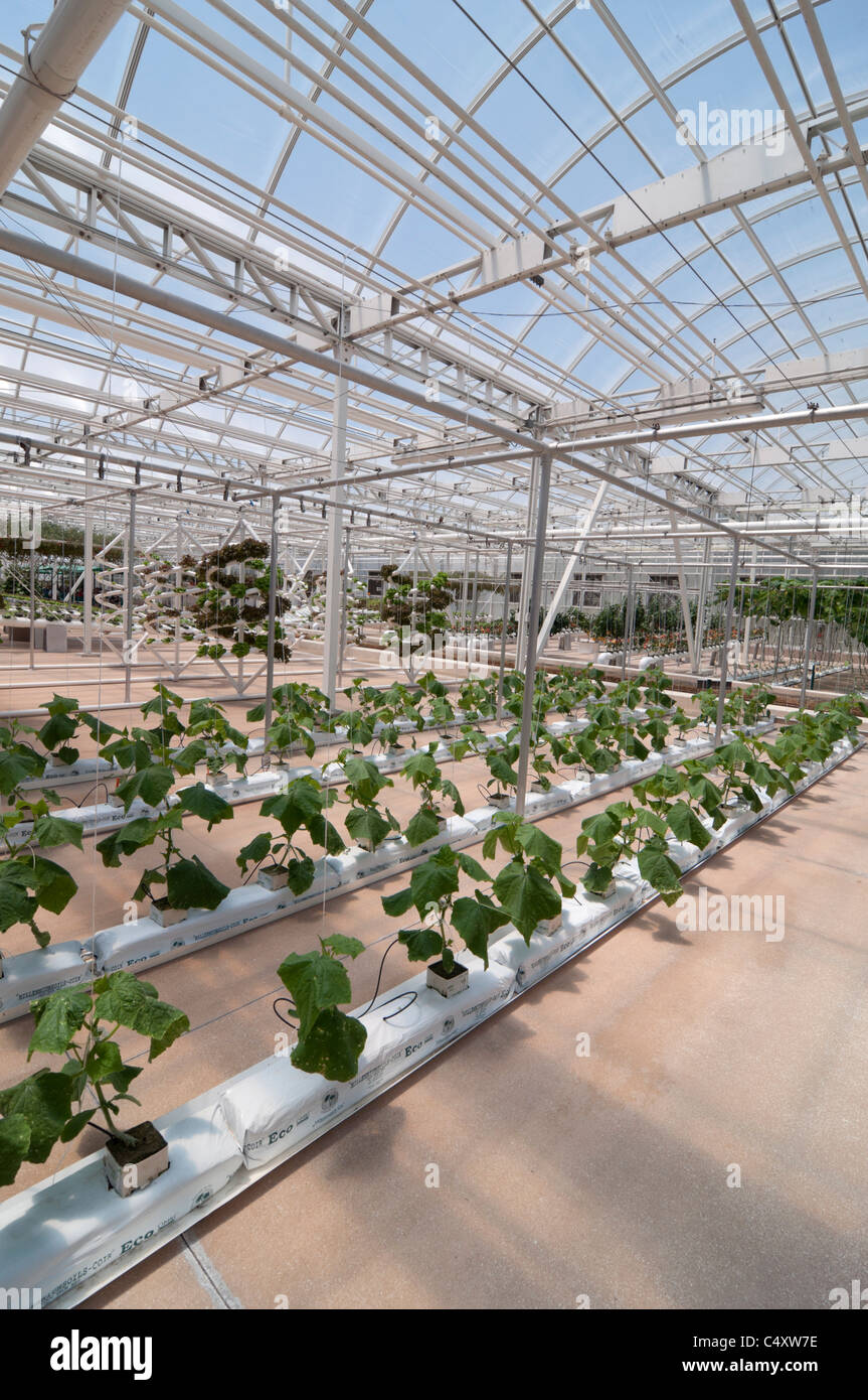 Le parc à thème Epcot Pavillon Terre Walt Disney World Resort Orlando la Floride le derrière La Tour & Graines vivant avec les terres d' Banque D'Images