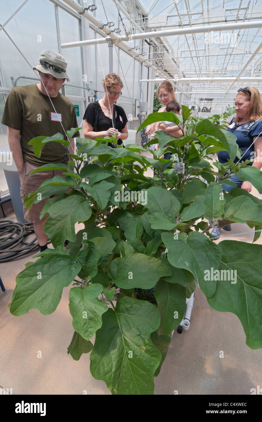 Le parc à thème Epcot Pavillon Terre Walt Disney World Resort Orlando la Floride le derrière La Tour & Graines vivant avec les terres d' Banque D'Images