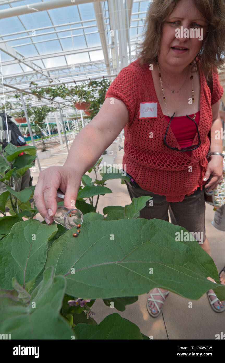 Le parc à thème Epcot Pavillon Terre Walt Disney World Resort Orlando la Floride le derrière La Tour & Graines vivant avec les terres d' Banque D'Images