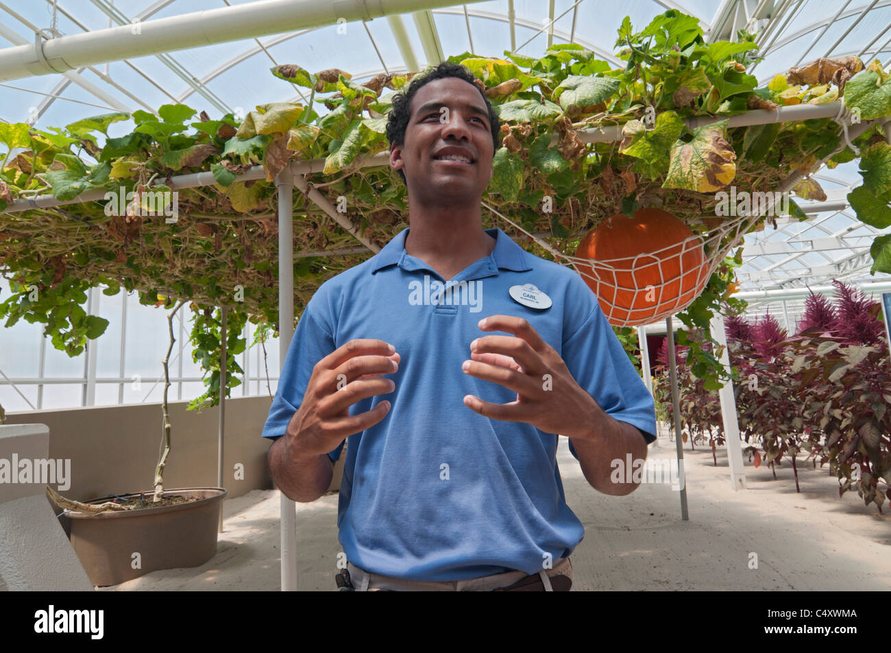 Le parc à thème Epcot Pavillon Terre Walt Disney World Resort Orlando la Floride le derrière La Tour & Graines vivant avec les terres d' Banque D'Images