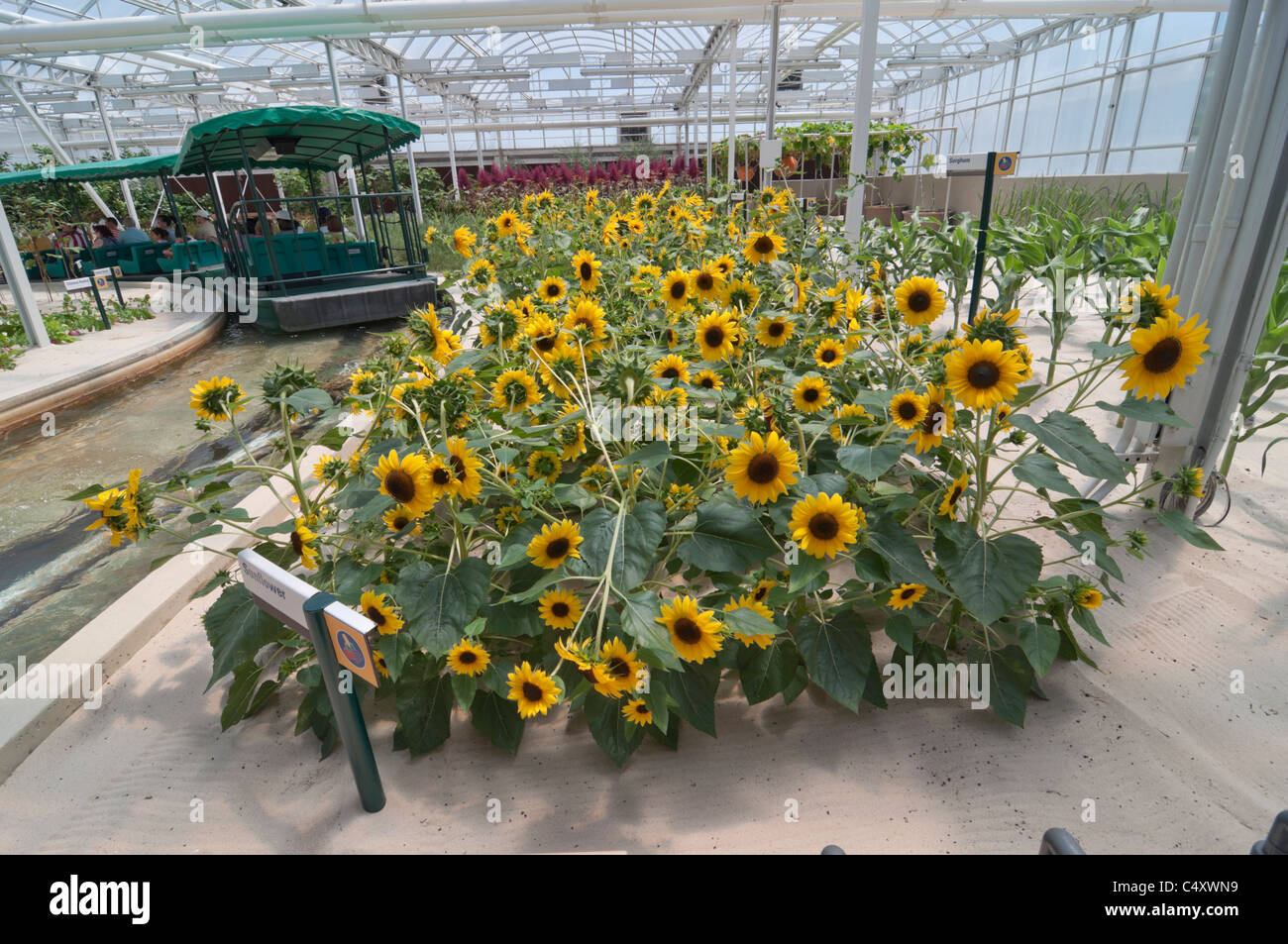 Le parc à thème Epcot Pavillon Terre Walt Disney World Resort Orlando la Floride le derrière La Tour & Graines vivant avec les terres d' Banque D'Images