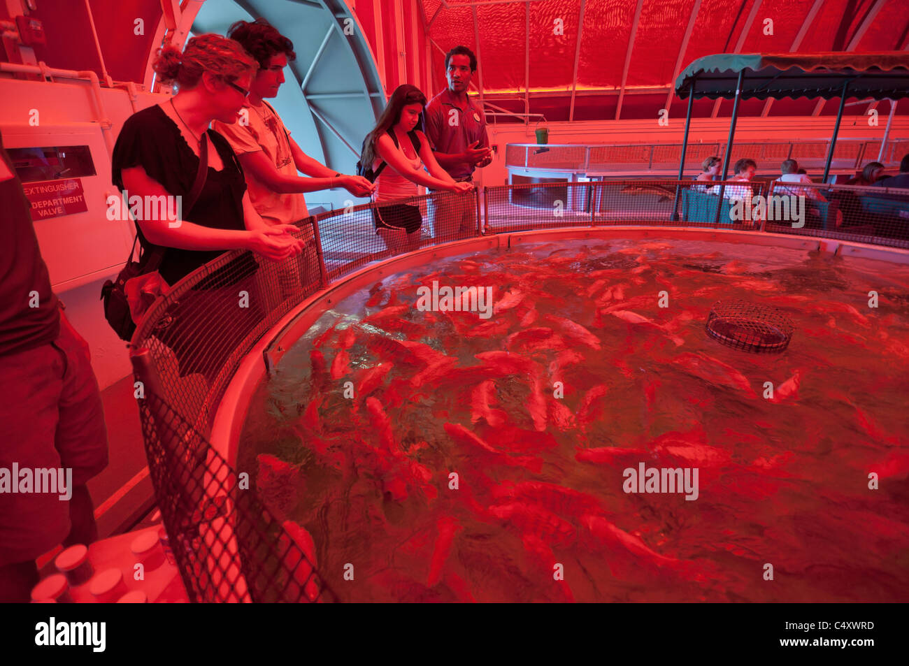 Le parc à thème Epcot Pavillon Terre Walt Disney World Resort Orlando la Floride le derrière La Tour & Graines vivant avec les terres d' Banque D'Images