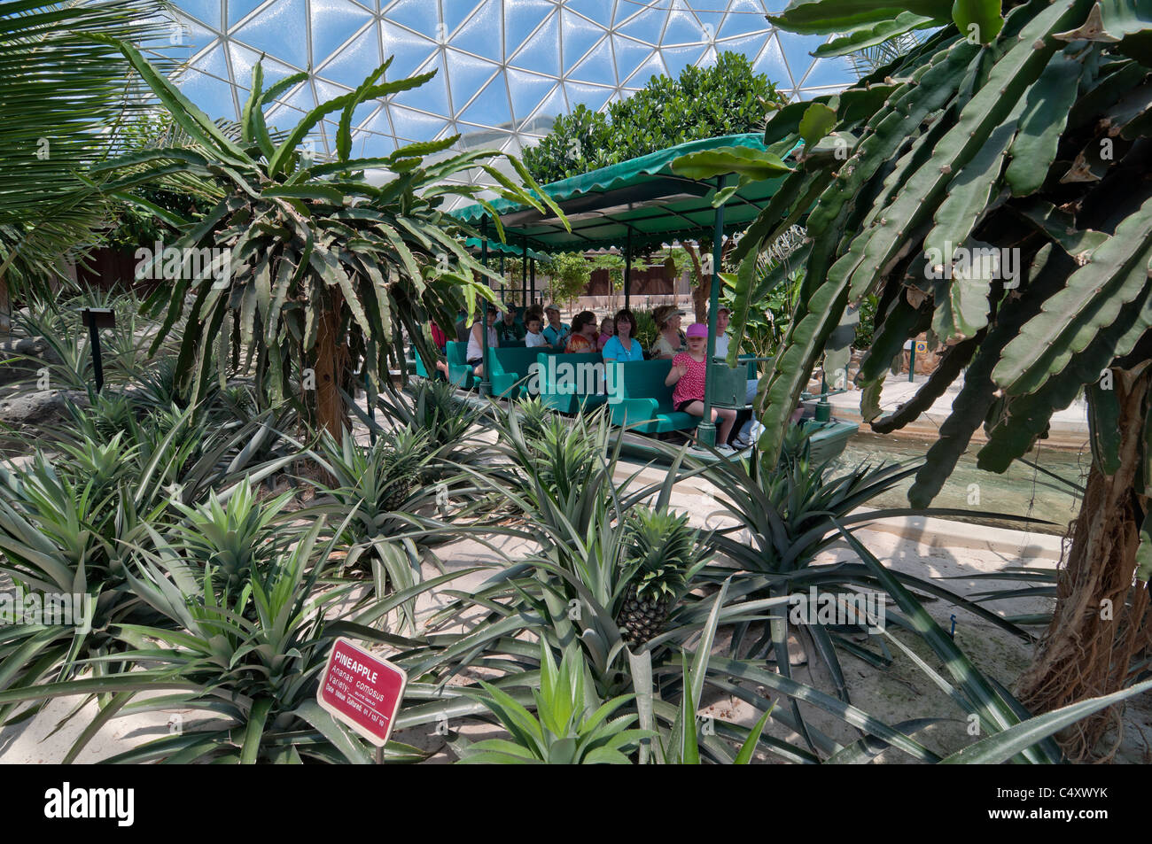 Le parc à thème Epcot Pavillon Terre Walt Disney World Resort Orlando la Floride le derrière La Tour & Graines vivant avec les terres d' Banque D'Images