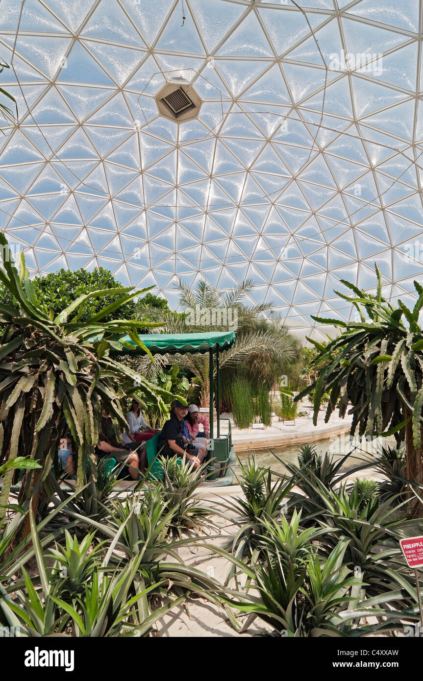 Le parc à thème Epcot Pavillon Terre Walt Disney World Resort Orlando la Floride le derrière La Tour & Graines vivant avec les terres d' Banque D'Images