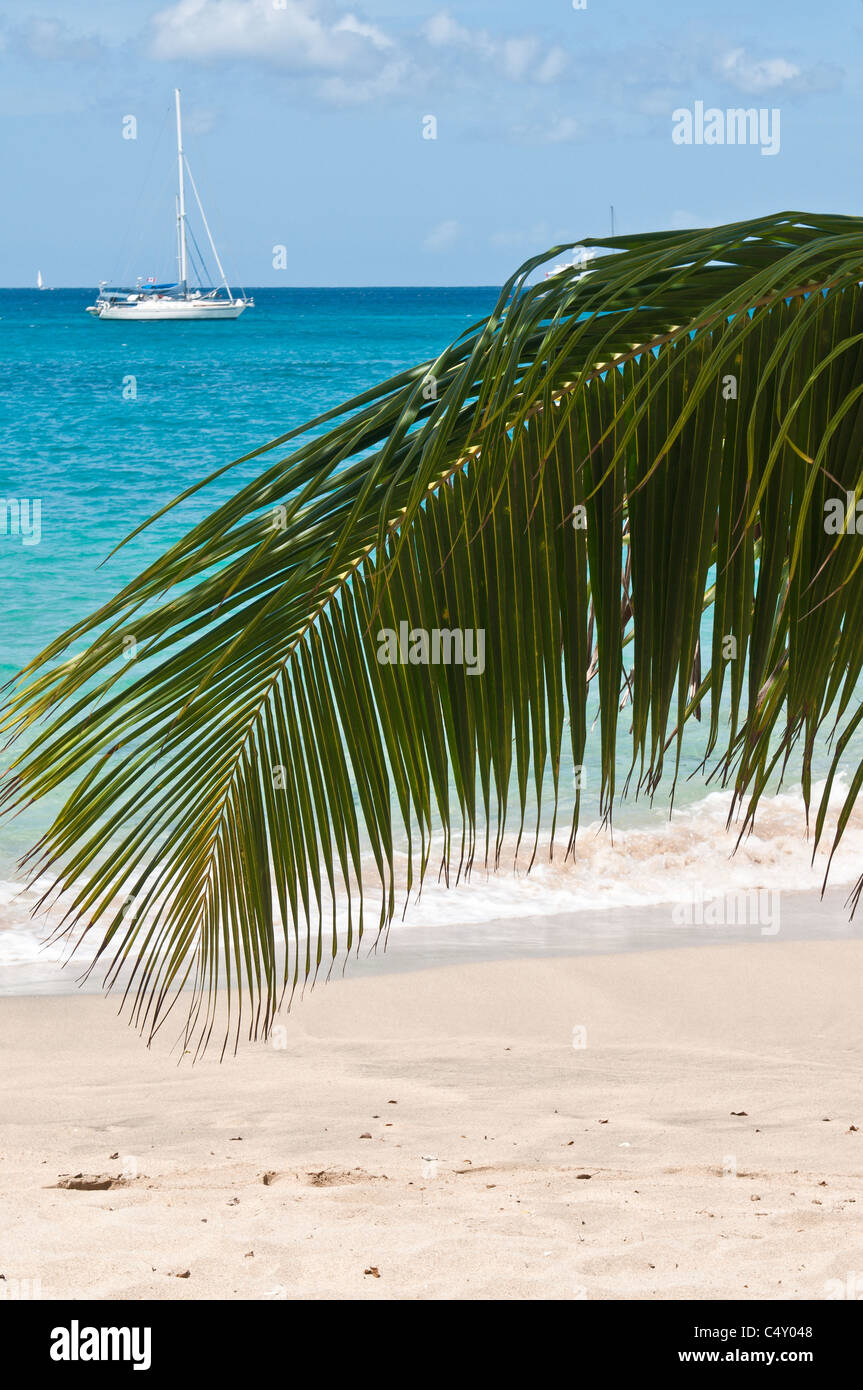 Lower Bay Beach, Bequia, Saint-Vincent-et-les Grenadines. Banque D'Images