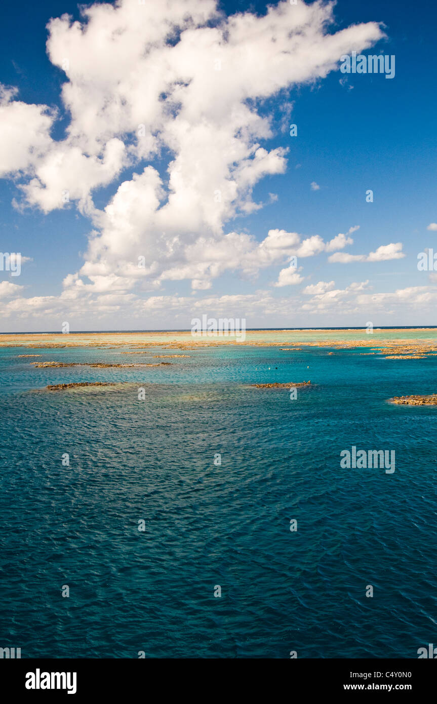 Grande Barrière de Corail au nord-est de Cairns dans le Queensland en Australie Banque D'Images