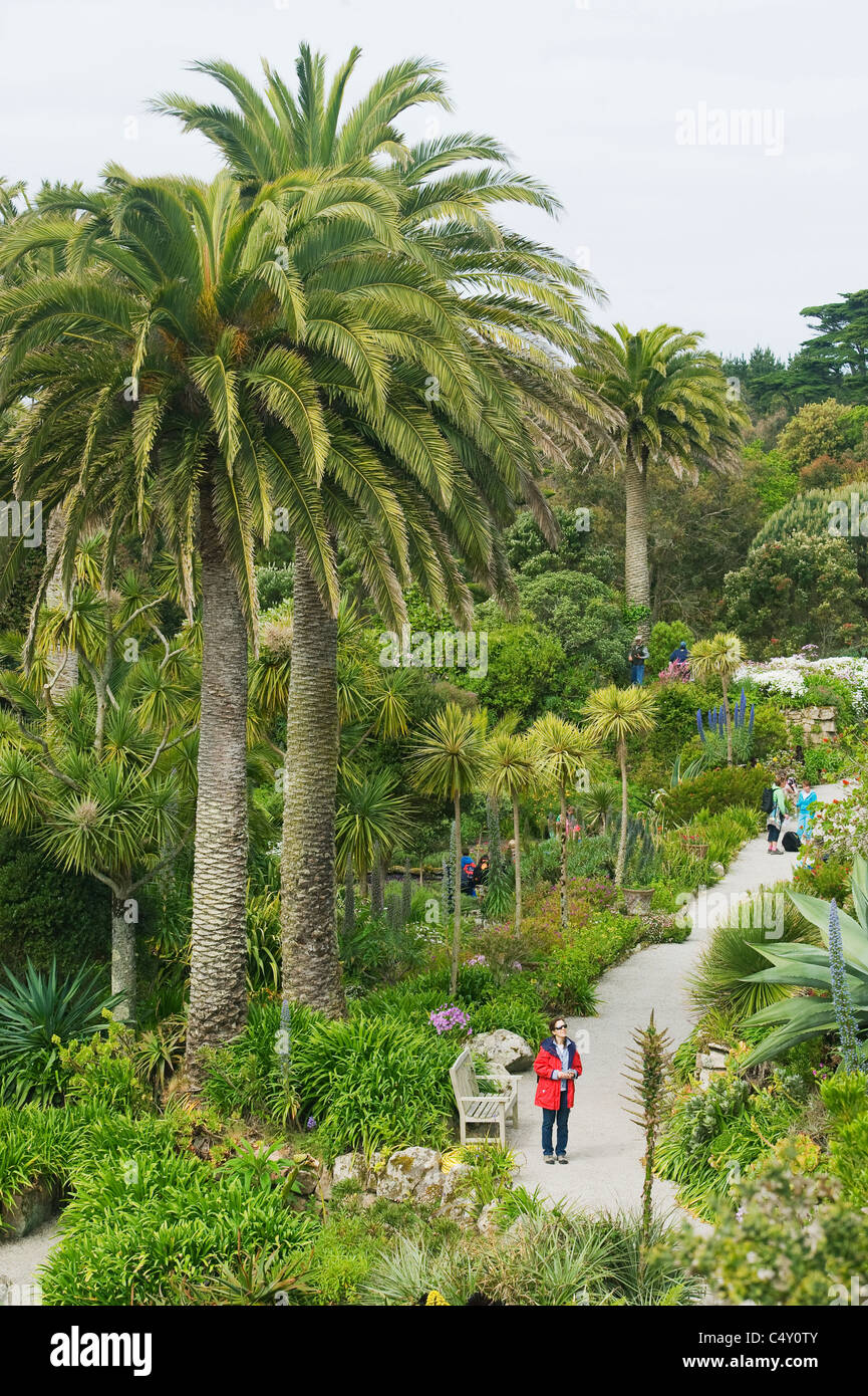 Jardins de l'abbaye de Tresco, Îles Scilly,. Cornwall, UK Banque D'Images
