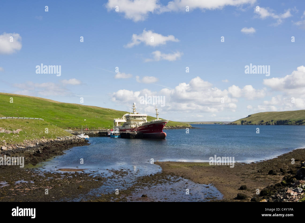 Collafirth, Northmavine, Shetland, Scotland, UK, Grande-Bretagne. Bateau de pêche bateau amarré dans le port d'Altaire Yell Sound Banque D'Images