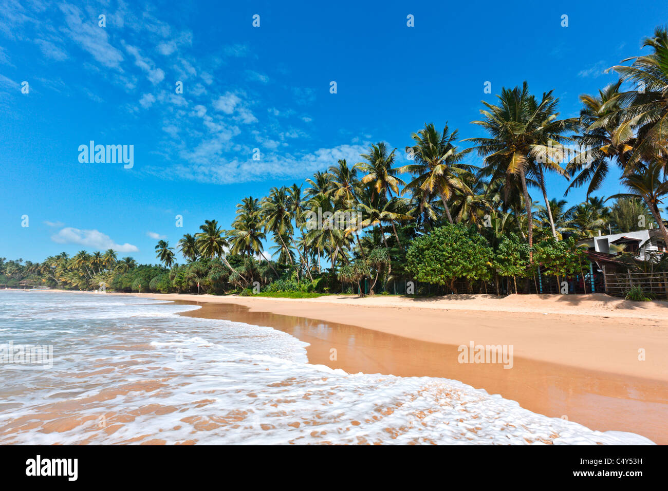 Paradis tropical de plage idyllique. Sri Lanka Banque D'Images