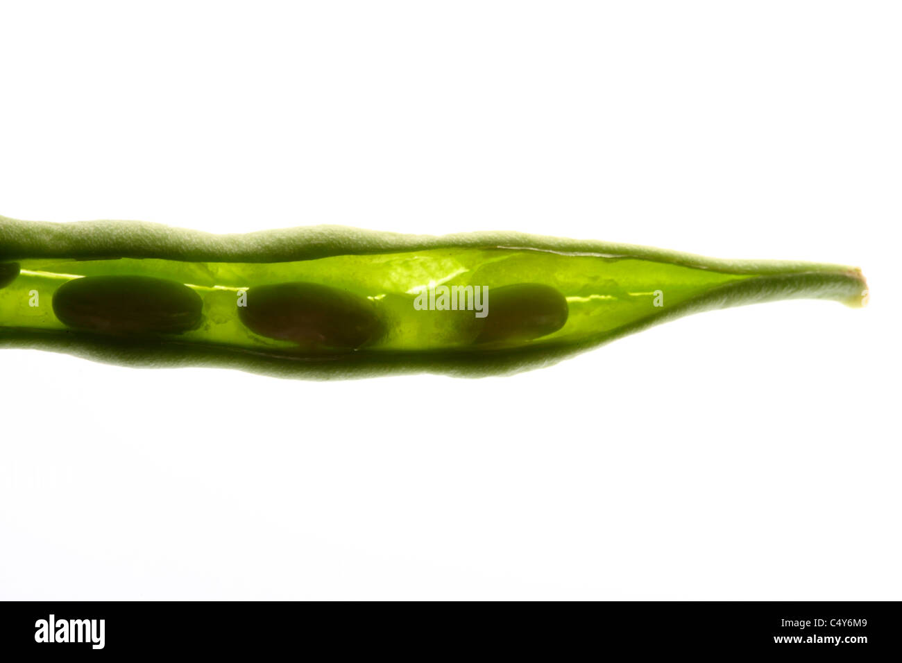Légumes, haricots verts, haricots. Banque D'Images